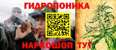 крисы Гусиноозёрск