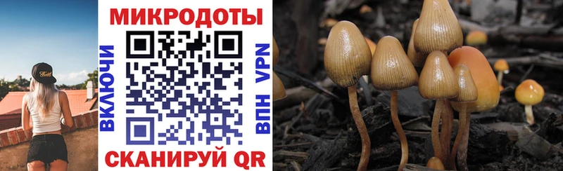 omg ссылки  где купить наркотик  Нижний Тагил  Псилоцибиновые грибы Psilocybine cubensis 