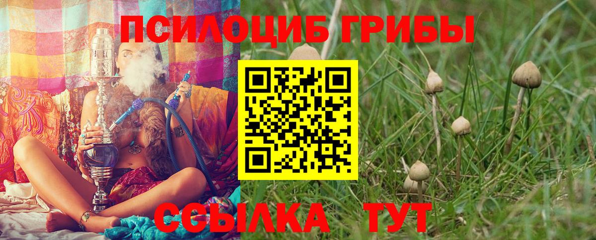 Нижний Тагил  Псилоцибиновые грибы Magic Shrooms  Вход с VPN  Псилоцибиновые грибы мицелий 