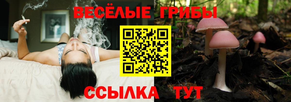 Галлюциногенные грибы мицелий Нижний Тагил